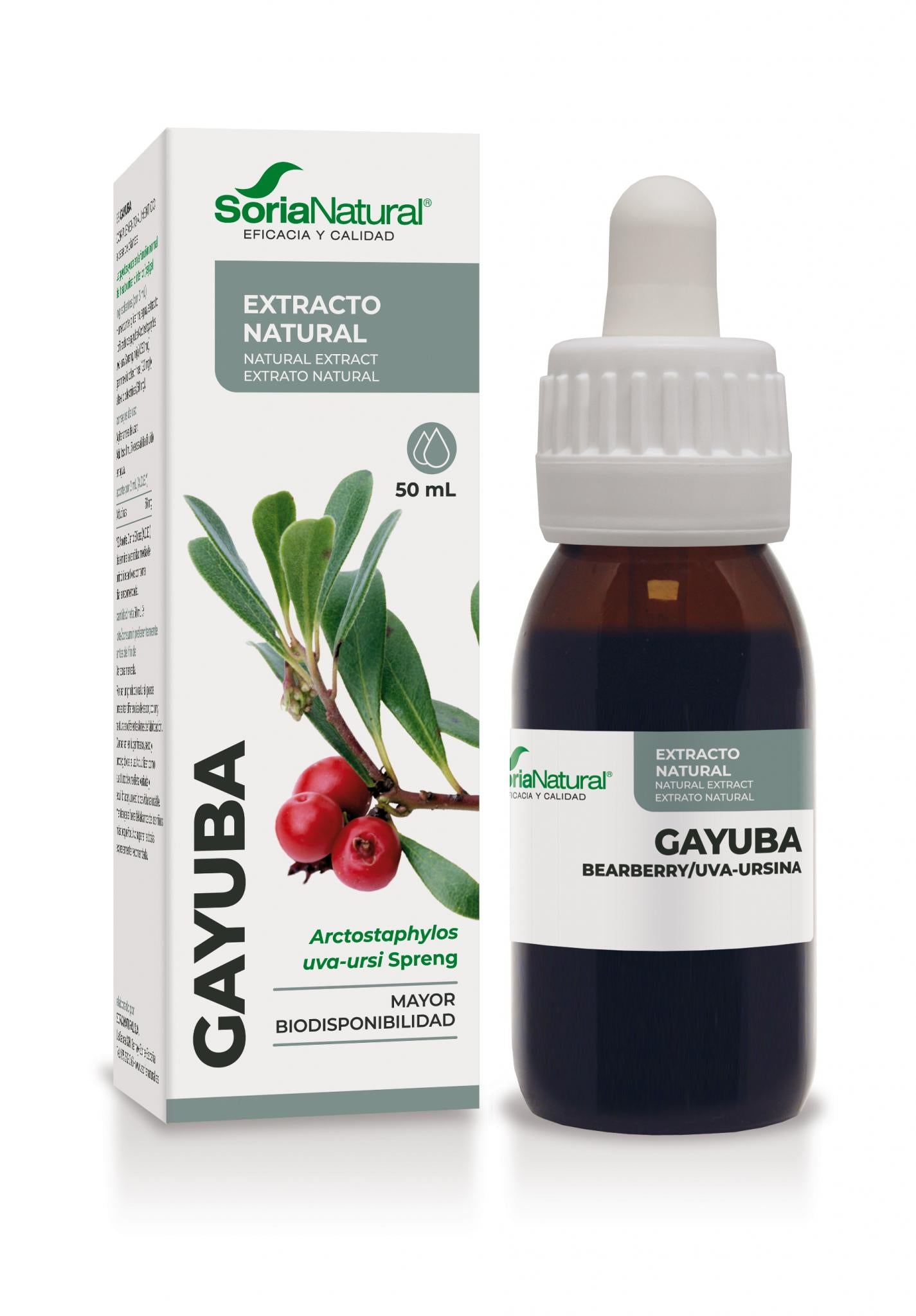 Gayuba Extracto