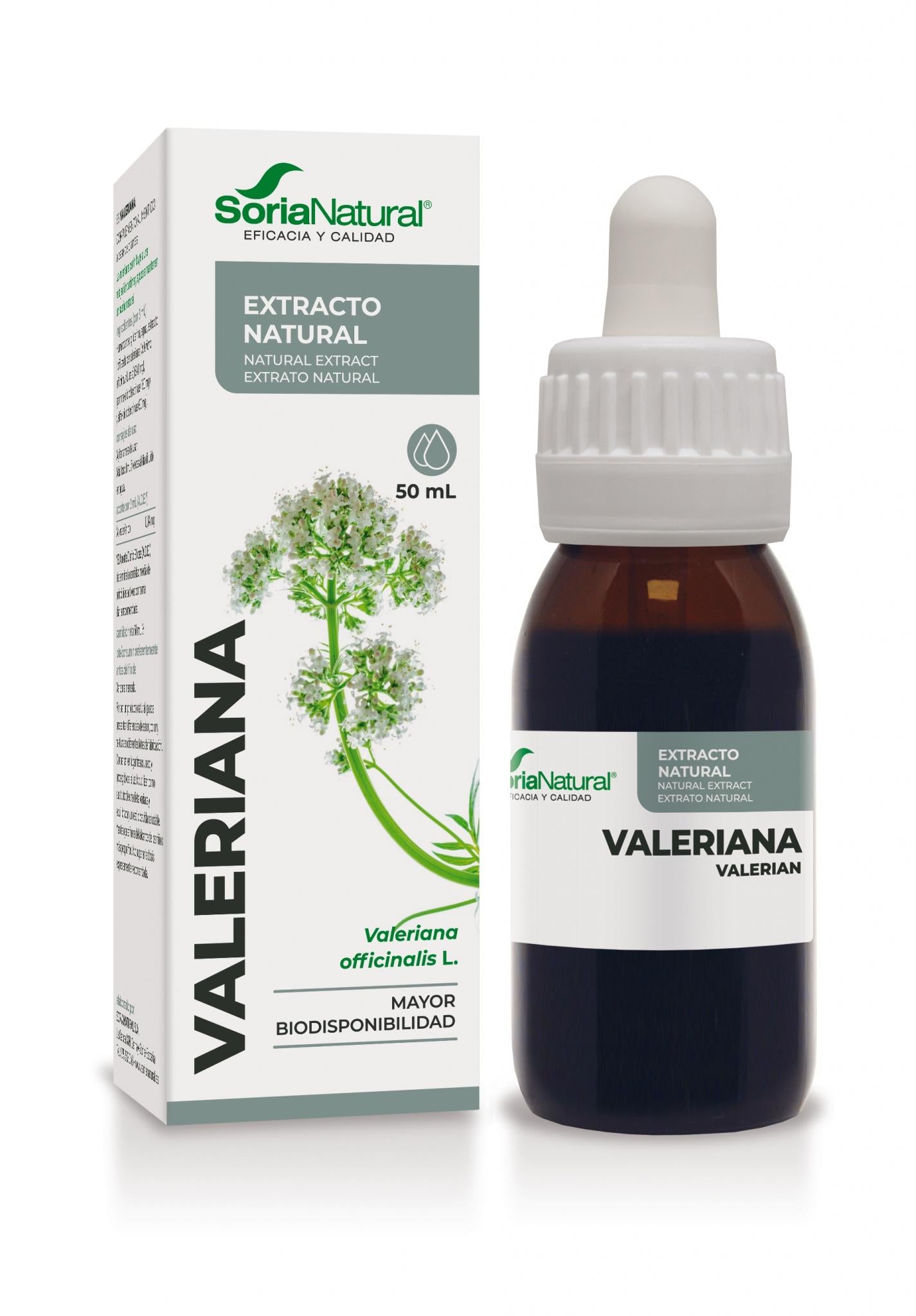 Valeriana Extracto
