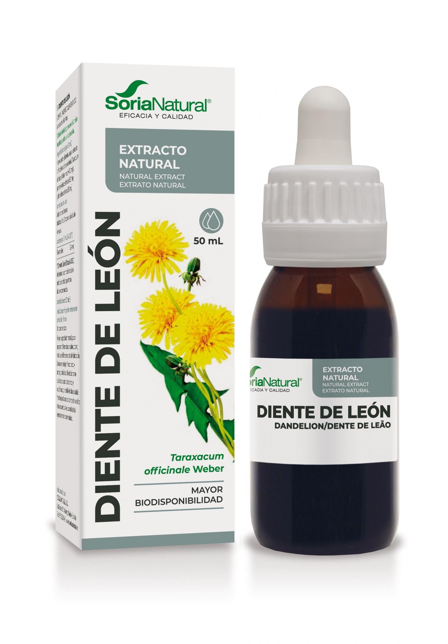 Diente de león Extracto