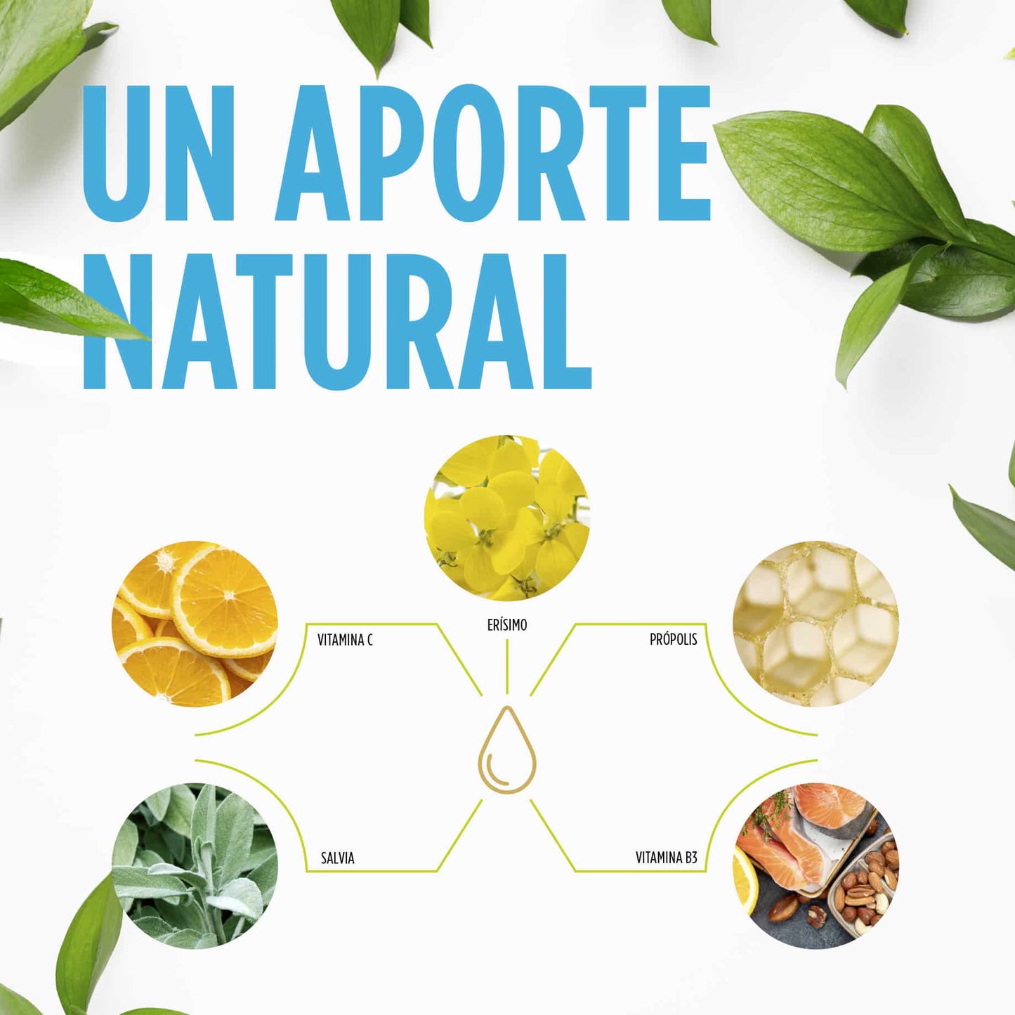 Herbafriol Propolag Spray Eladiet sisema respiratorio vías altas defensas