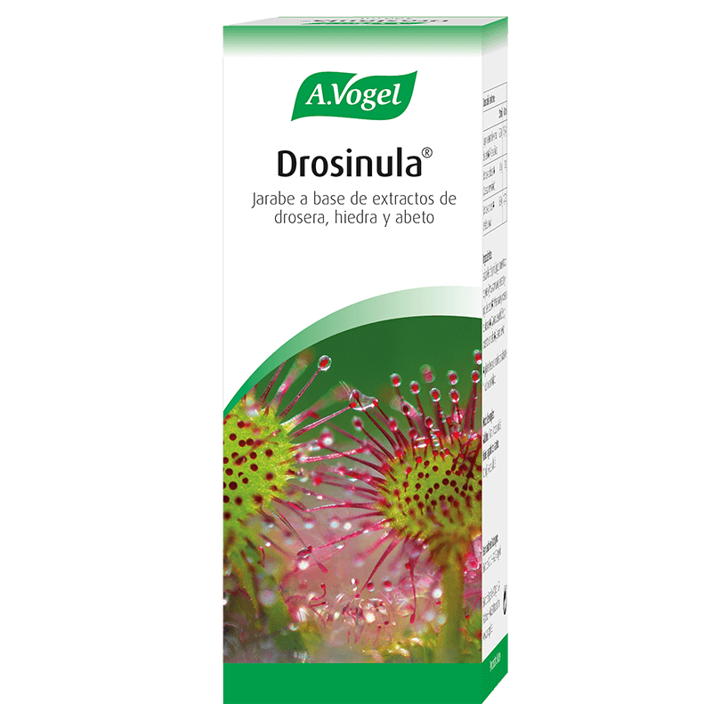 Drosinula