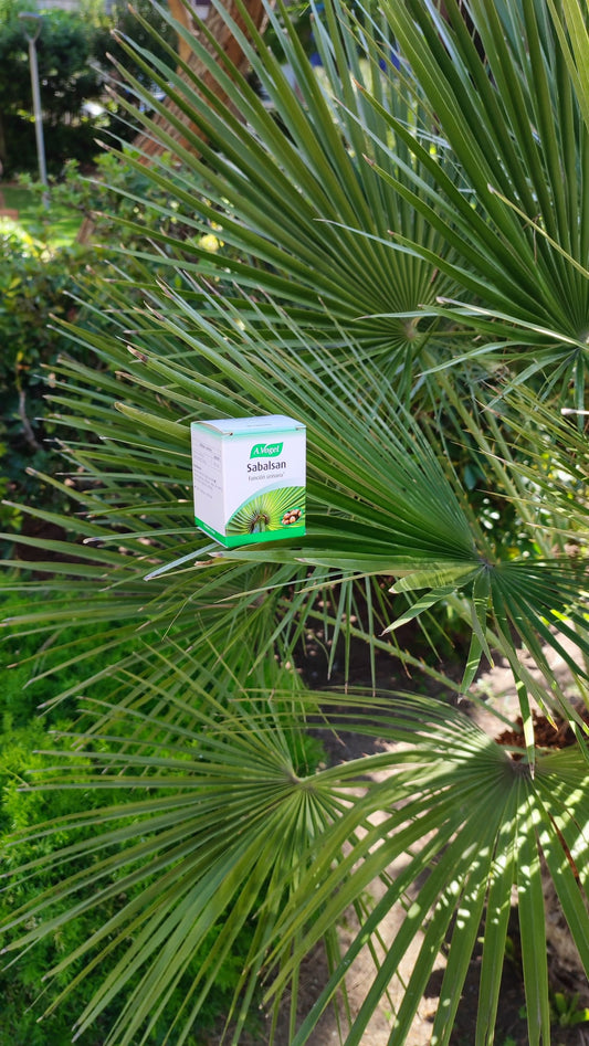 Sabalsan (Prostasan)