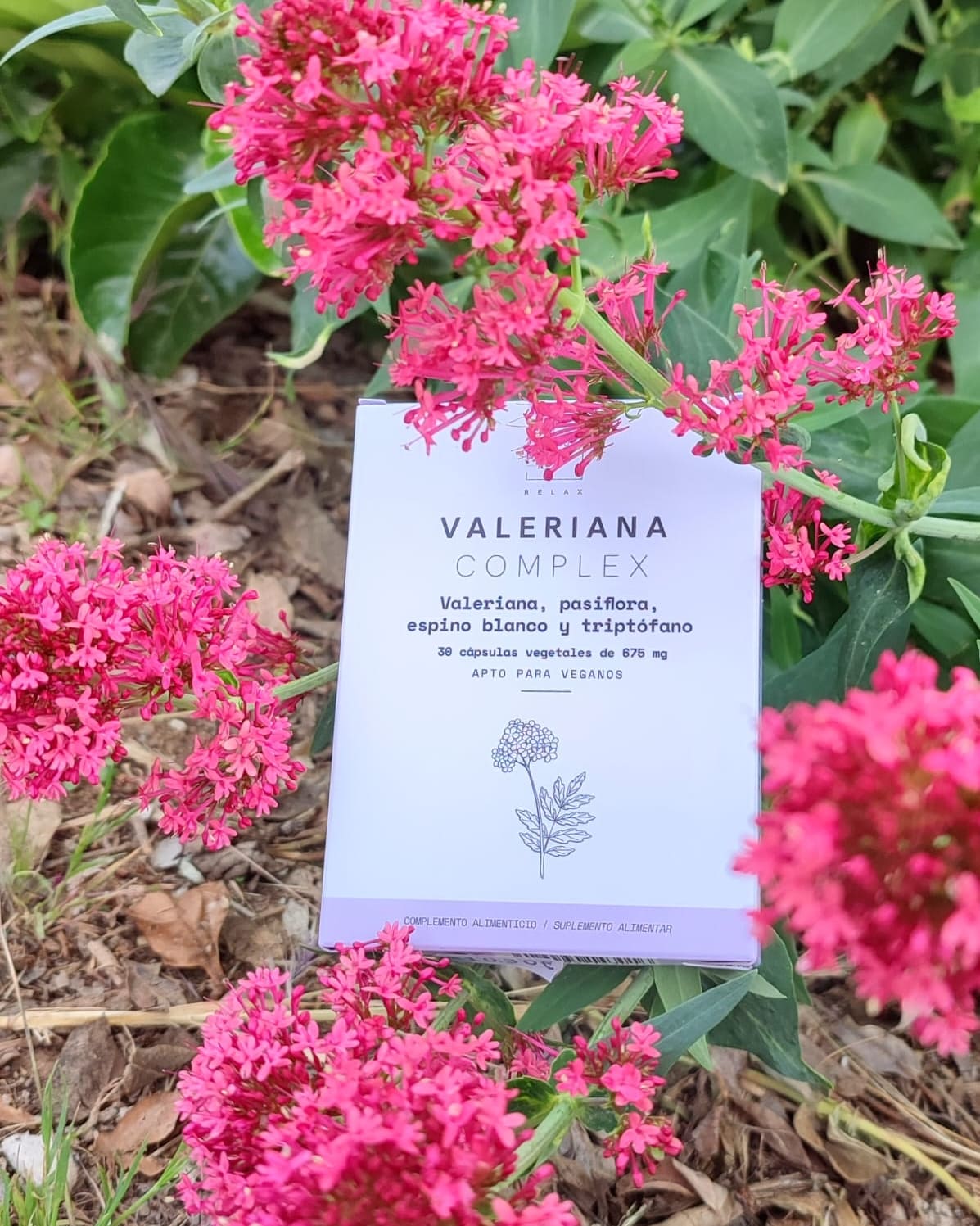 Valeriana Complex de Herbora