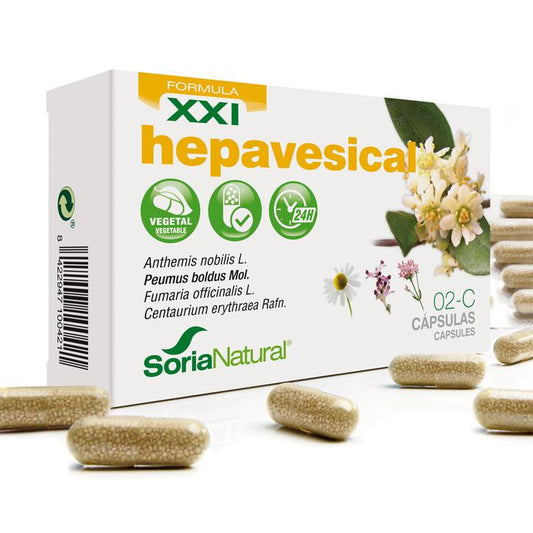 02-C Hepavesical XXI