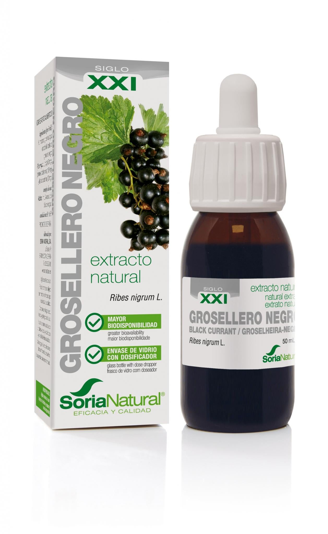 Extracto de Grosellero Negro XXI