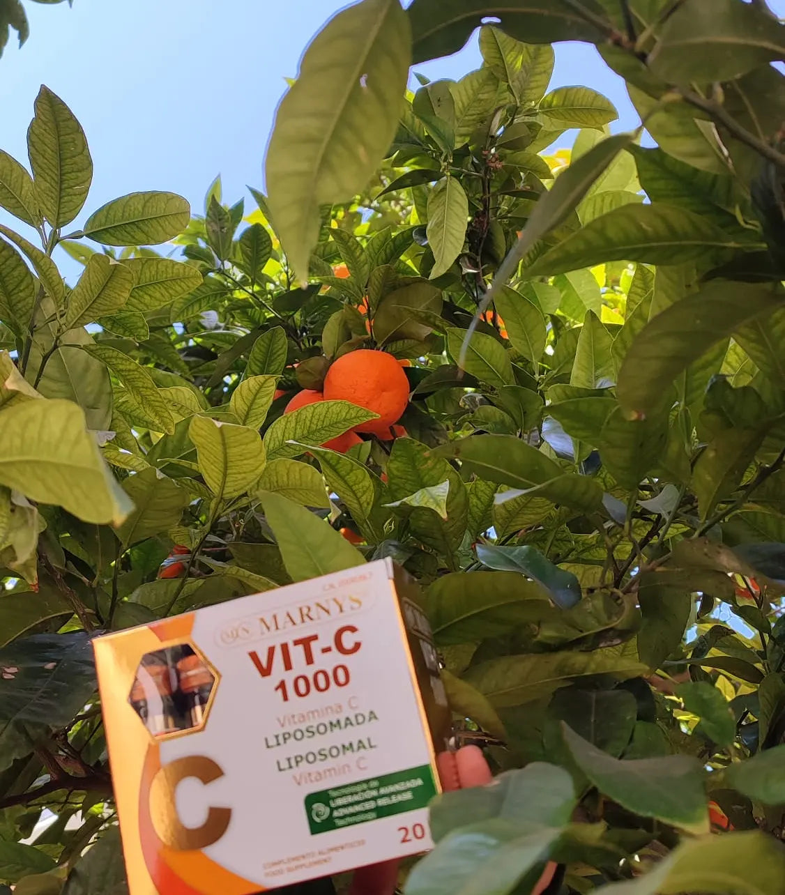 VIT-C 1000 liposomada