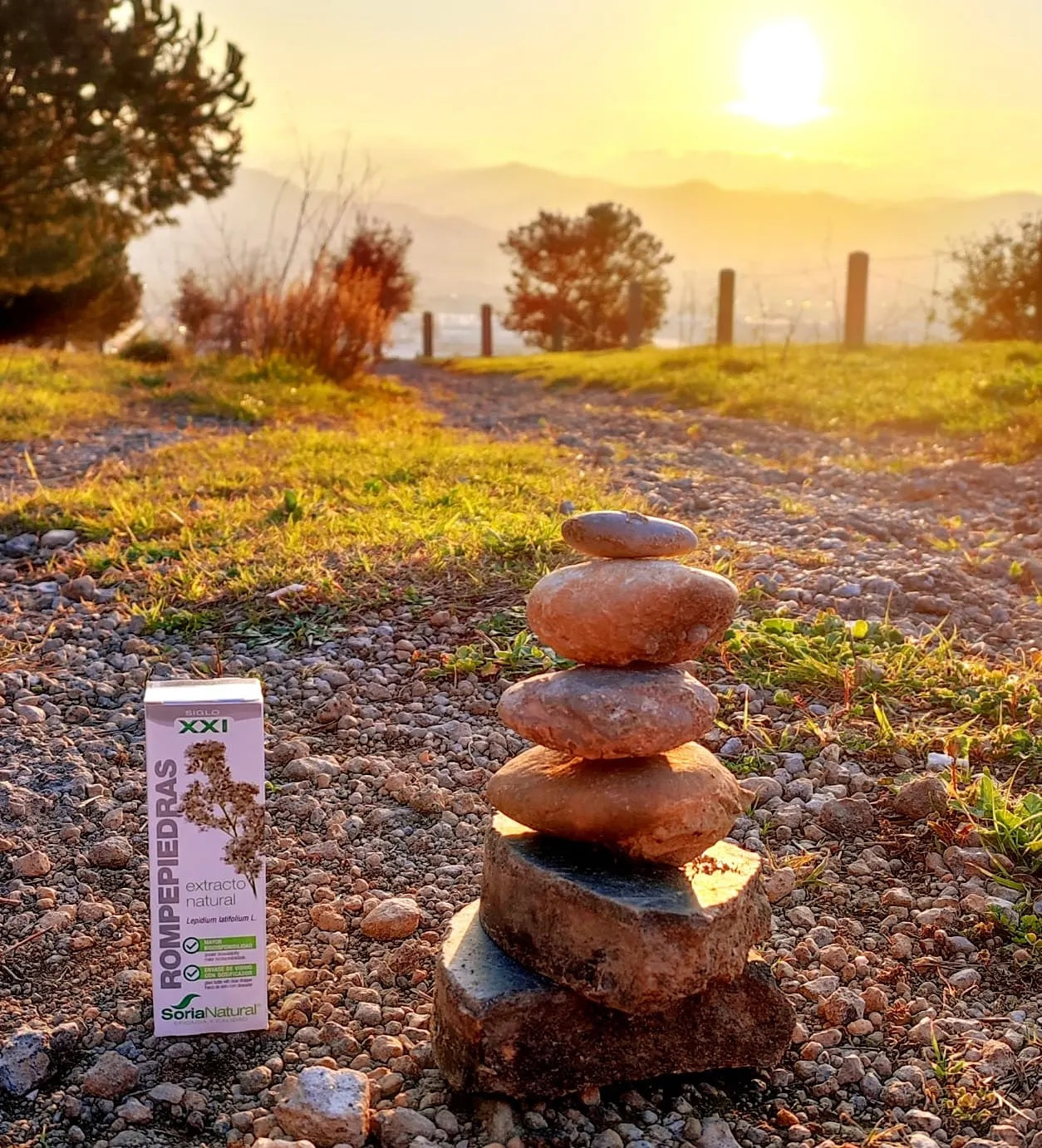 Rompepiedras Extracto