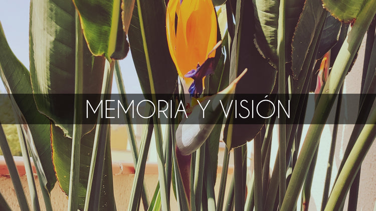 Memoria y visión