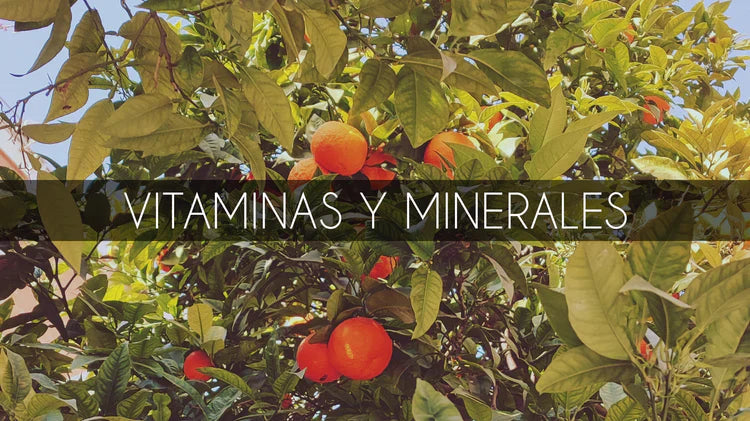 Vitaminas y minerales