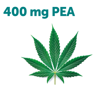 Cannabiactive Forte