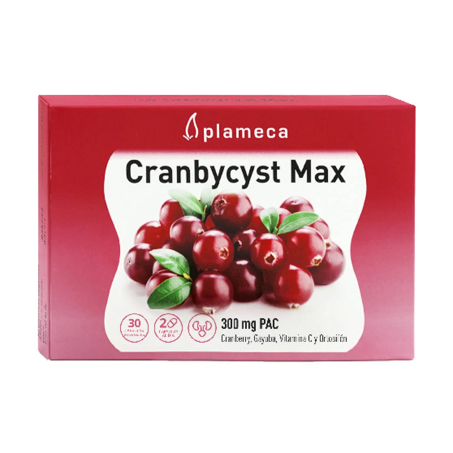 Cranbycyst Max