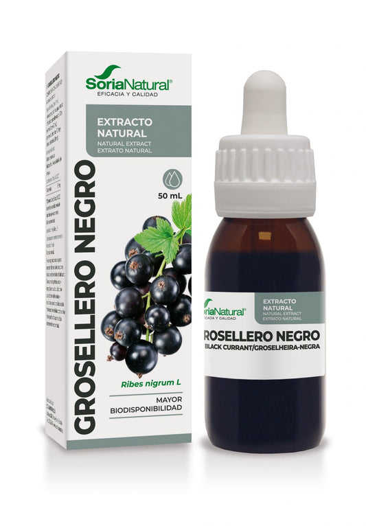 Extracto de Grosellero Negro XXI