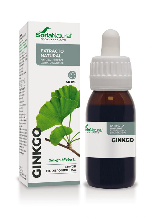 Ginkgo Extracto