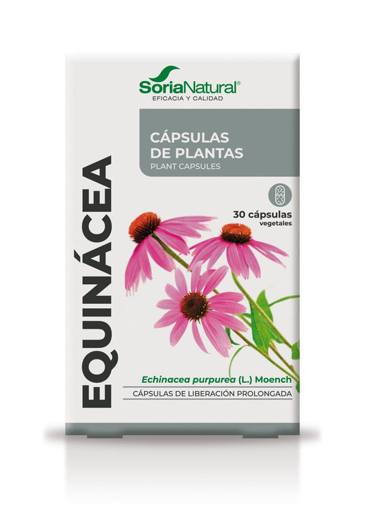 Equinácea Cápsulas