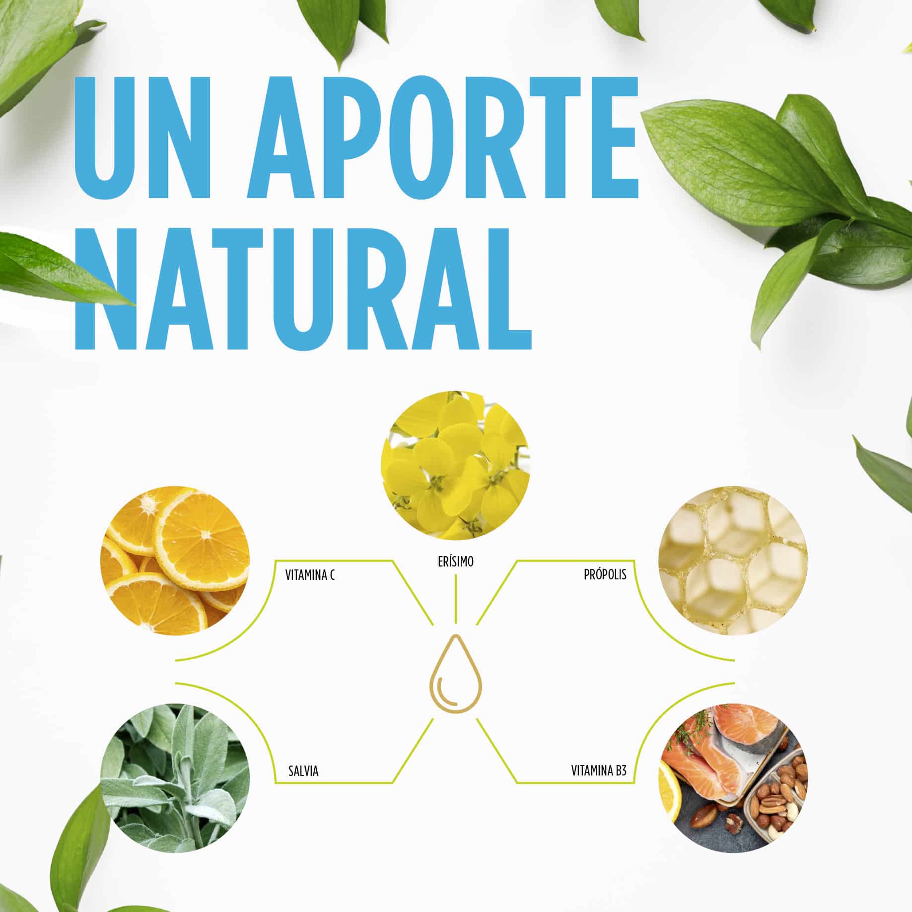 Herbafriol Propolag Spray Eladiet sisema respiratorio vías altas defensas 