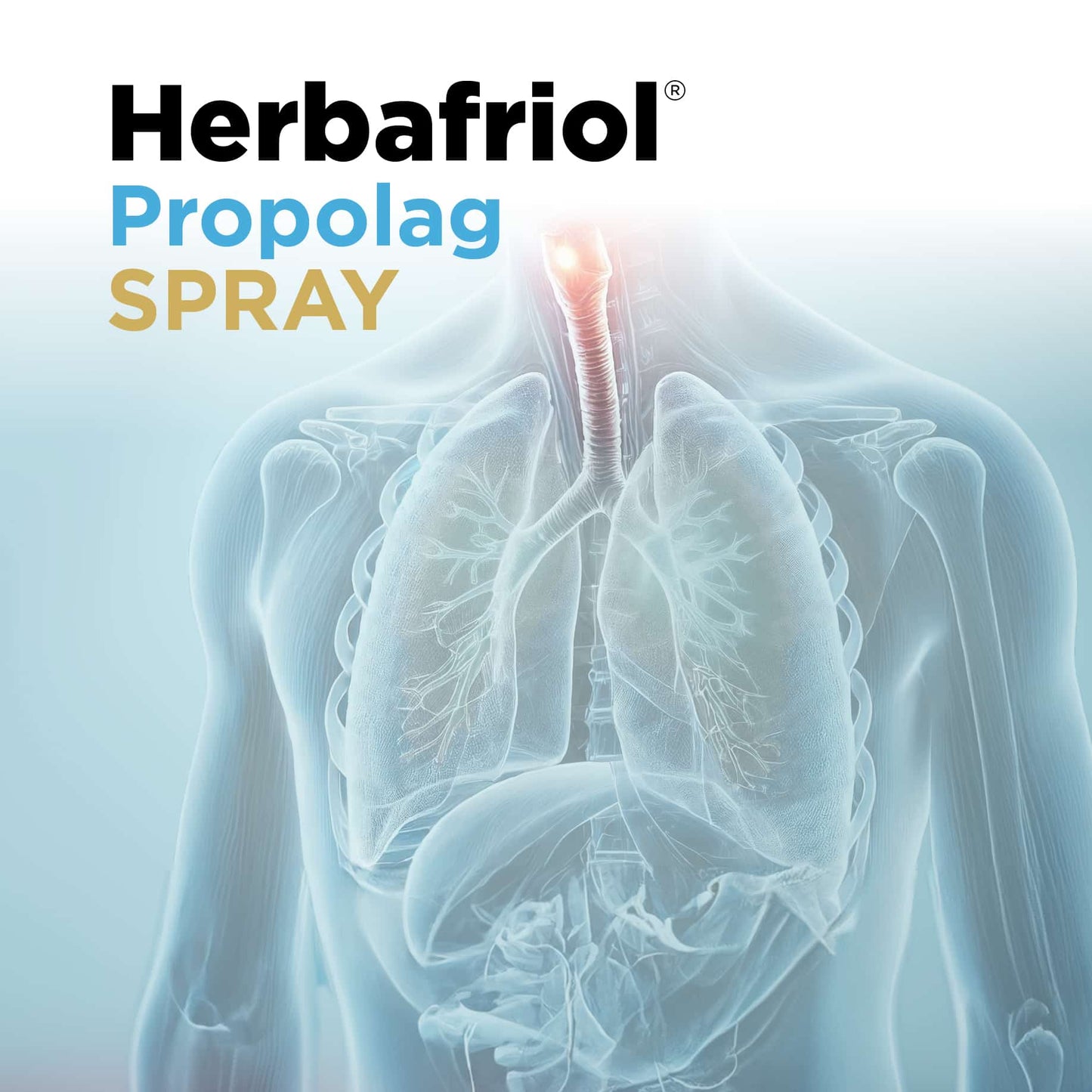 Herbafriol Propolag Spray Eladiet sisema respiratorio vías altas defensas 