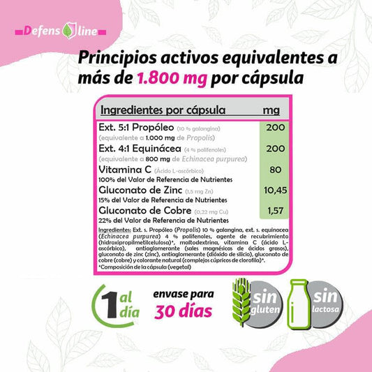 Echinapro